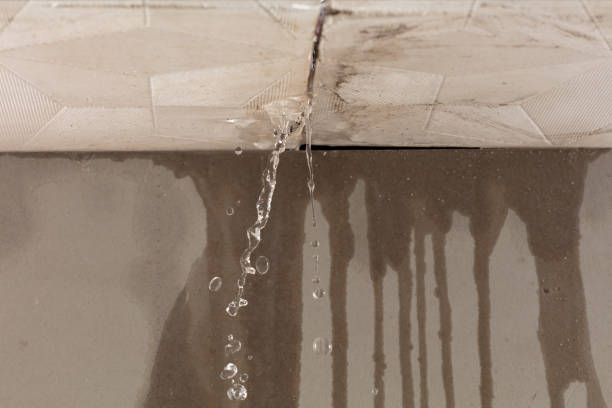 Professional Structural Drying technician working in Owls Head, ME